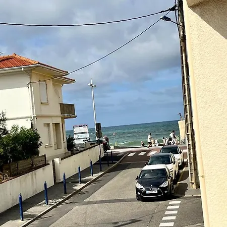 Vue Ocean *